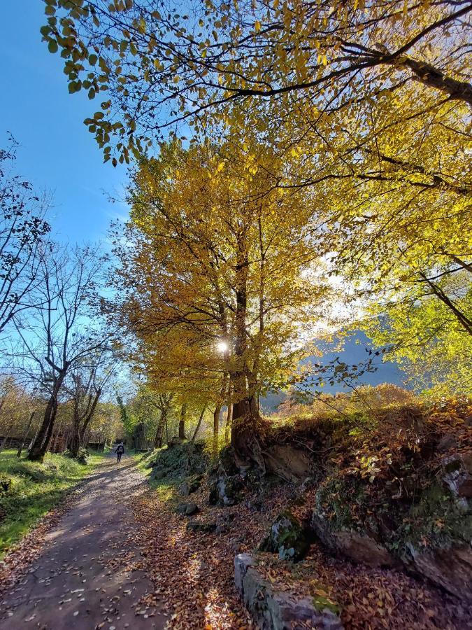 Villaggio Turistico Il Lago Dorato Carlazzo Экстерьер фото